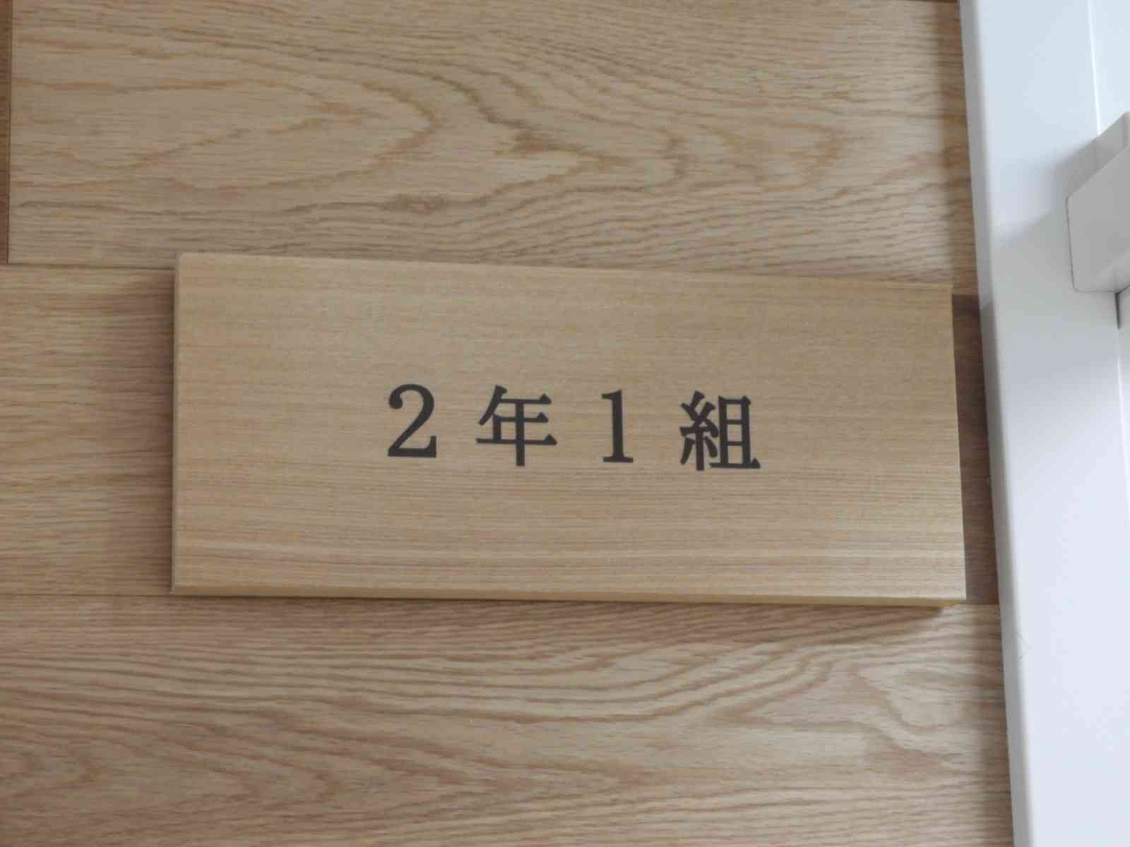 DSCN6793
